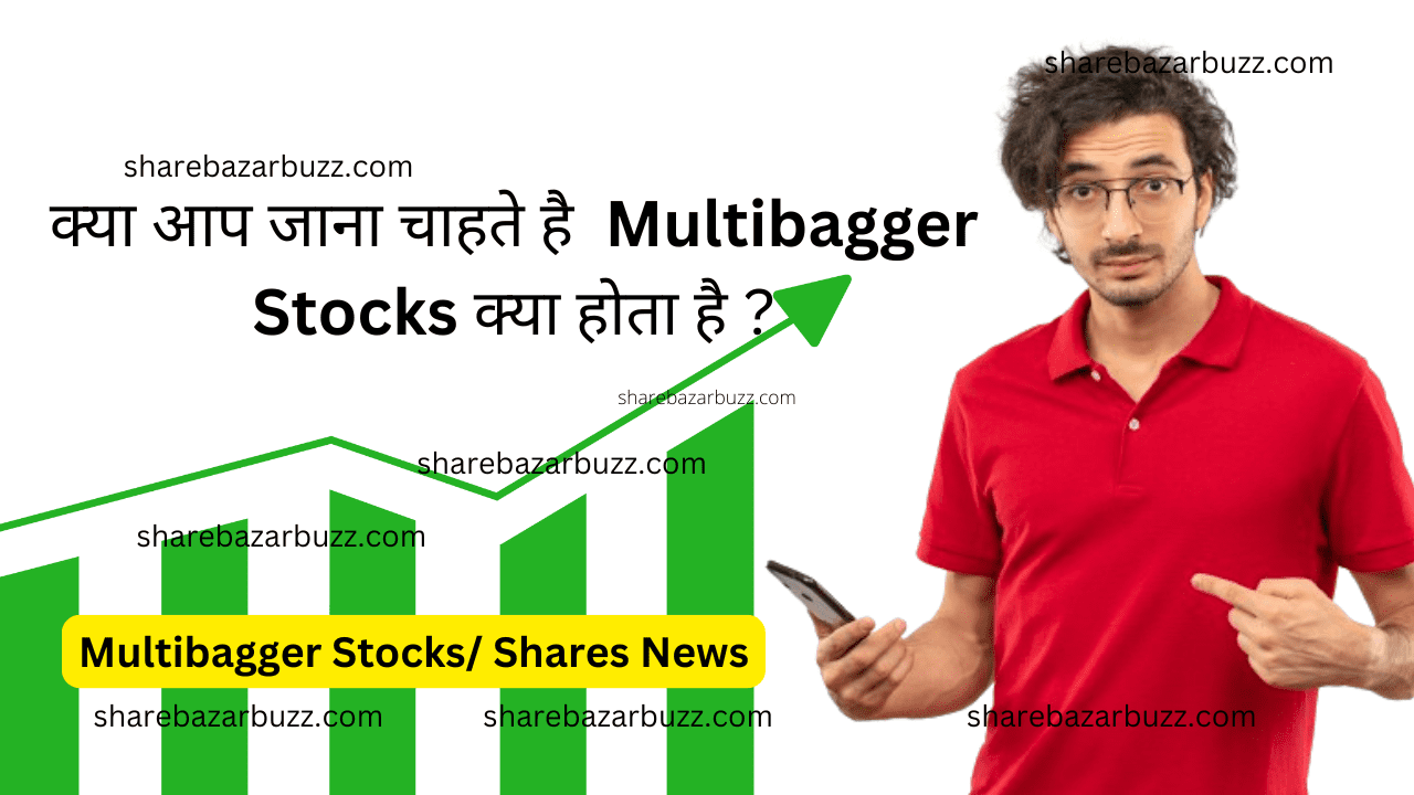 Multibagger Stock